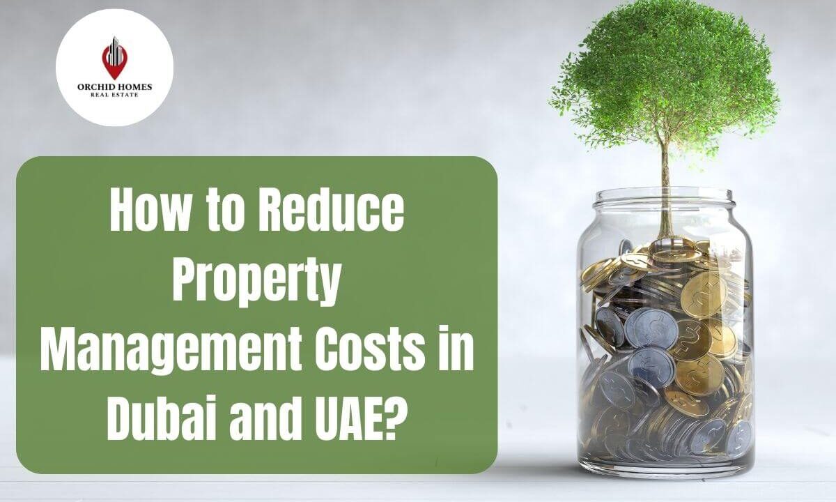 How to Reduce Property Management Costs in Dubai