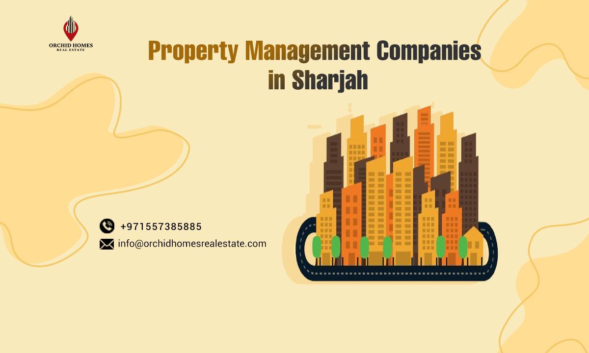 Top 5 Best Property Management Companies in Sharjah UAE image