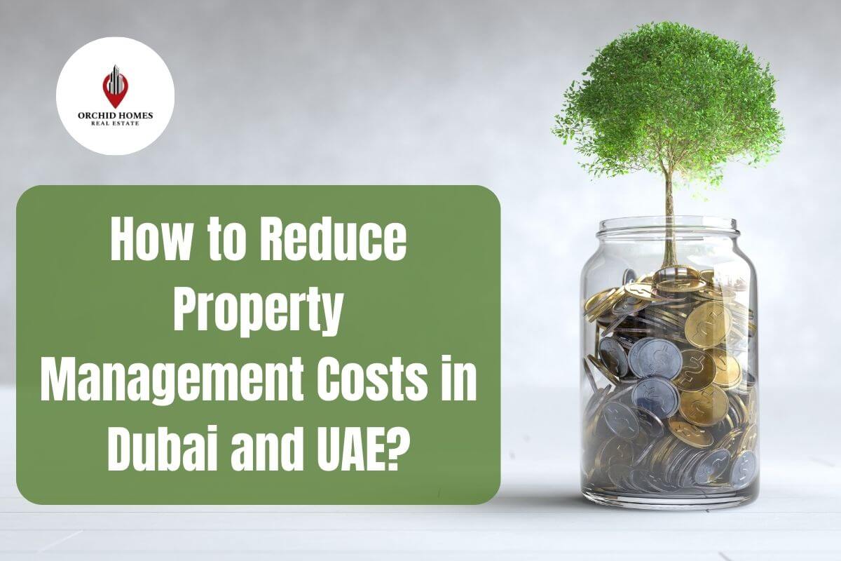 How to Reduce Property Management Costs in Dubai and UAE? image