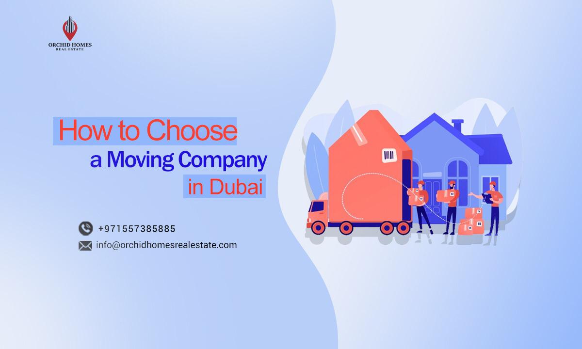 How to Choose a Moving Company in Dubai? Dubai Mover and Packers Guide image