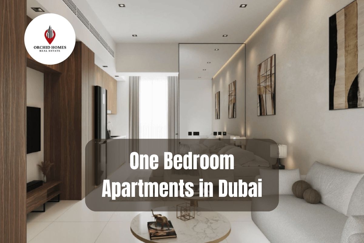 One Bedroom Apartment in Dubai—Benefits, Considerations, and More image